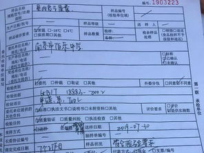南京市伯樂中學開展教室空氣質量與運動場材料全面檢測 保障校園健康安全