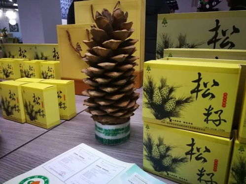 傳統手工藝品要 情懷味 更要 文藝味