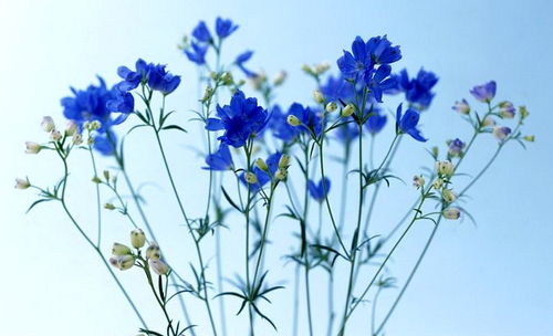 文學(xué)藝術(shù)創(chuàng)作和科學(xué)研究離不開(kāi)審美聯(lián)想和審美想象