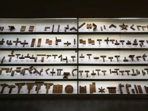 昨日受組織安排 小編體驗(yàn)了精彩難忘的一日游